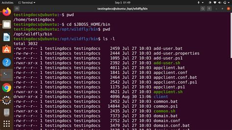 ls linux command  examples testingdocscom