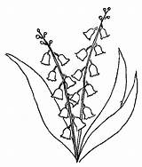 Muguet Coloriage Lacramioare Colorat Coloriages Planse Flori Kwiaty Cu Brin Wiosenne Colorier Imprimer 1er Kolorowanki Dzieci Desene Chezcolombes Mescoloriages sketch template