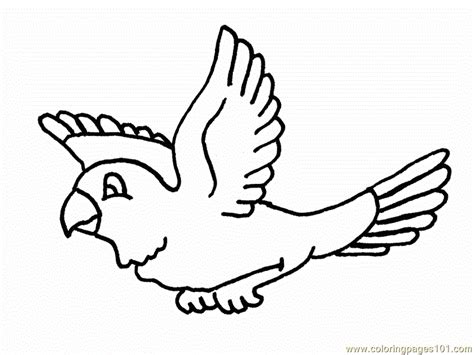 flying bird coloring pages coloring home