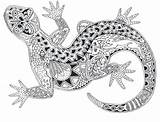 Aboriginal Zentangle Ausmalbilder Mandalas Gecko Malvorlagen Boyama Echsen Abstrakt Animales Aborigine Geckos Mache Tangled Mandeville Shari Hayvan Abstrakte Creativity Besuchen sketch template