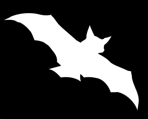 white bat  stock photo public domain pictures