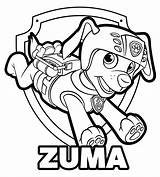 Patrol Paw Coloring Pages Clipartmag Zuma sketch template