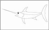 Coloring Swordfish Fish Tracing Pages Mathworksheets4kids sketch template