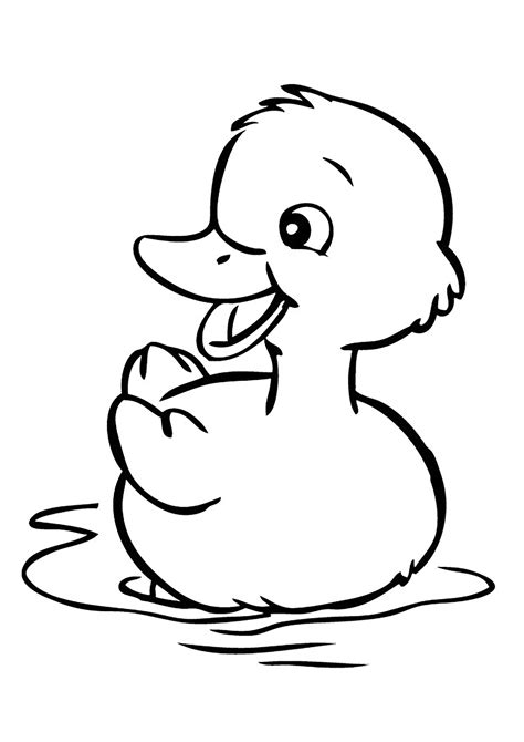 pretty  duck birds kids coloring pages