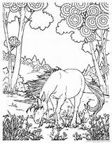 Coloring Unicorn Realistic Pages Fantasy Getdrawings sketch template