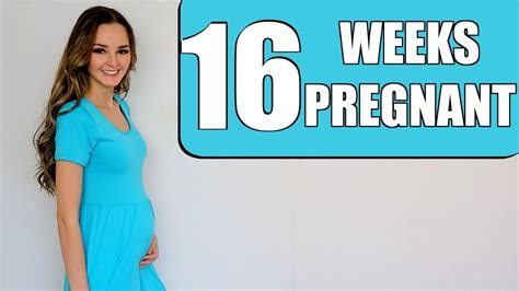 Raging Hormones And First Belly Shot Week 16 Pregnancy Update Youtube