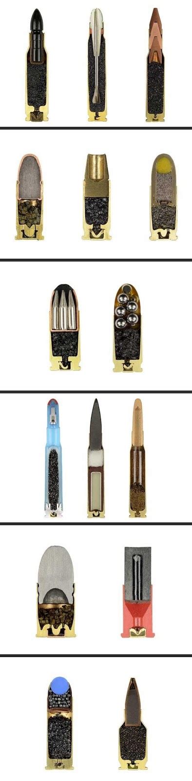 ammo  gun collector cutaway views   ammunition cartridges