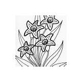 Star Coloring Pages Flower Printable sketch template