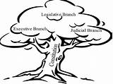 Drawing Branch Legislative Judicial Getdrawings sketch template