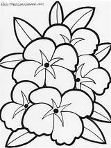 Coloring Hawaiian Pages Flowers Printable Popular sketch template