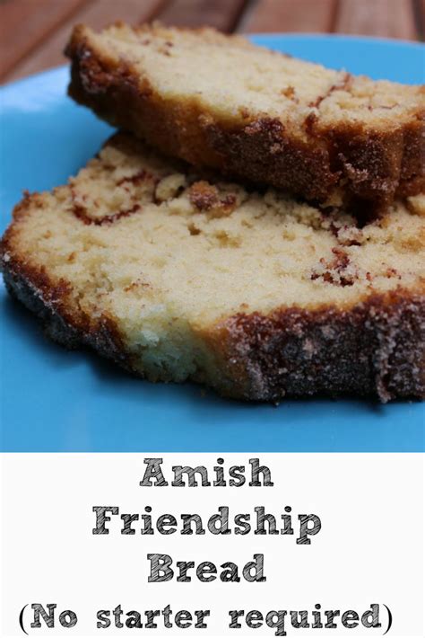 Easy Amish Friendship Bread No Starter Kit Required Recipe