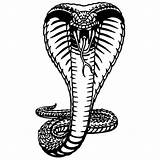 Snake Cobras Shelby Königskobra Coloriages Embellecimiento Excelente Stampare Adulti Gratuit Rettili Tattoos Printmania Reptiles Kidsplaycolor sketch template