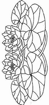 Stained Glass Lotus Patterns Water Lily Printable Coloring Fleurs Dessin Flower sketch template