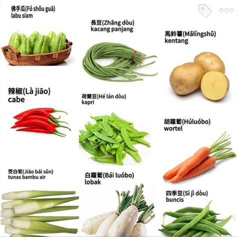 sayur sayuran  bahasa mandarin lengkap  gambarnya suara