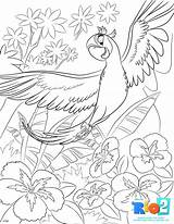 Rio Coloring Pages Printable Blu Sheets Para Colorear Print Kids Colouring Movie Color Disney Bird Rio2 Printables Cartoon Dibujos Drawings sketch template