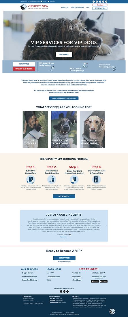 portfolio vipuppy spa pet business branding web design