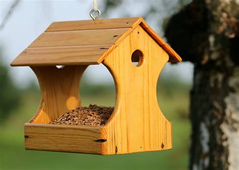 top  bird feeder plans  basic woodworking