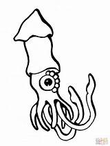 Squid Coloring Pages Giant Animal Minecraft European Color Drawing Printable Clipartpanda Realistic Getcolorings Clipart Book Print Websites Presentations Reports Powerpoint sketch template