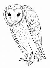 Owl Barn Coloring Pages Printable Color Animals Animal Sheet Colouring Print Town Animalstown Kids Sheets Book Adults Adult Visit sketch template