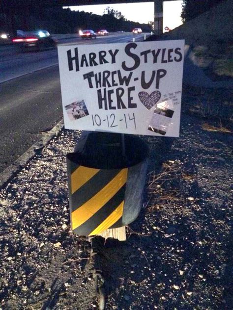 one direction fans erect shrine at spot where harry styles