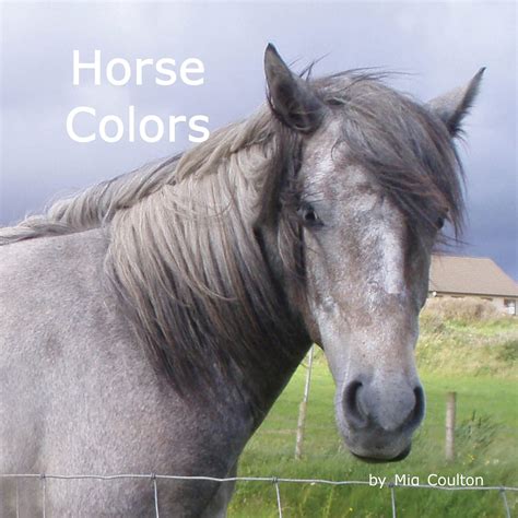 horse colors  photographs  horses    colors