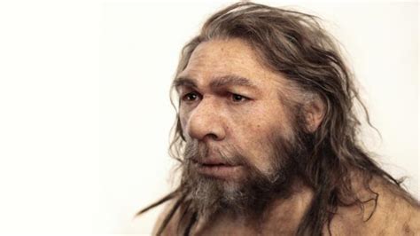 Bbc Earth What Did The Neanderthals Do For Us