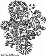 Coloring Paisley Pages Colorpagesformom sketch template