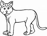 Lynx Lince Bobcat Printmania Colorironline sketch template