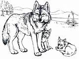 Wolf Coloring Pages Howling Printable Color Cub Mandala Pack Print Wolfs Wolves Drawing Adults Little Sheets Ginger Root Adult Getdrawings sketch template