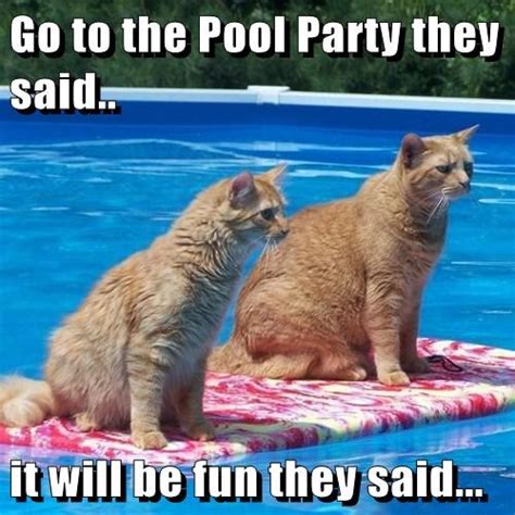 18 Wild Pool Party Memes