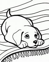 Perritos Imprimir Perrito Cachorros Bonitos Preciosos Parecen Gustan Bolitas Montón Pelos Unas sketch template
