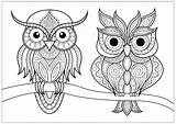 Owls Buhos Colorare Disegni Adulti Hiboux Gufi Colouring Deux Branche Eulen Erwachsene Malbuch Justcolor Búhos Posés Jolis Calme Coloriages 2886 sketch template