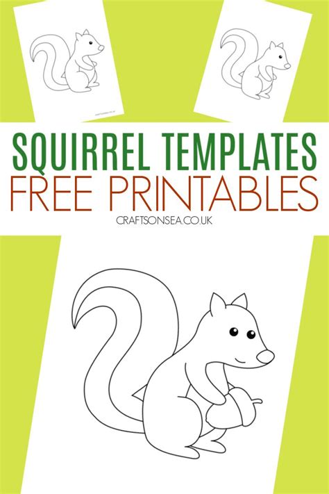 squirrel template printable  squirrel templates printable