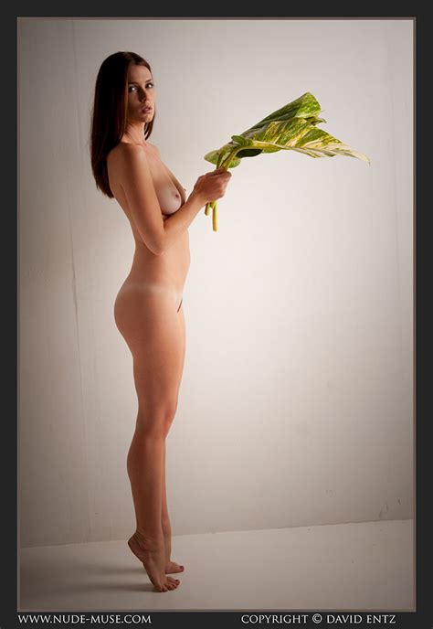 sindy natural nude nude muse magazine