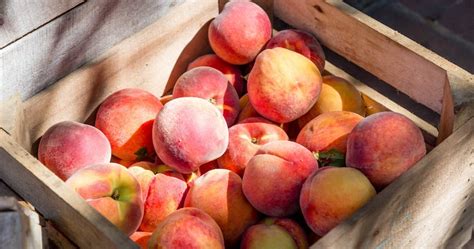peaches  summers  fruit reap  health benefits phillyvoice