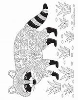 Raccoon Zentangle Woojr Mycoloring Coloringbay Skunk sketch template