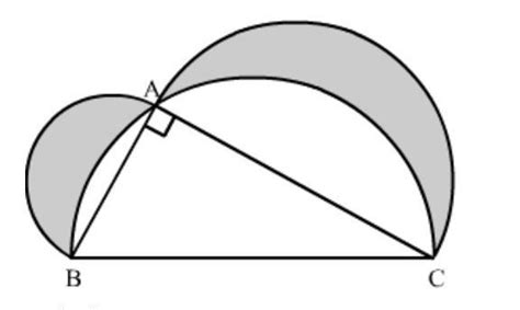 In The Following Figure Abc Is A Right Angled Triangle In