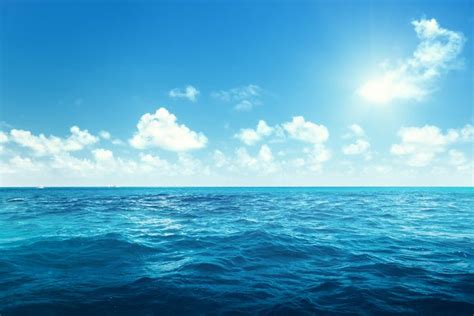 kehidupan  laut   tidak aman  ancaman perubahan iklim
