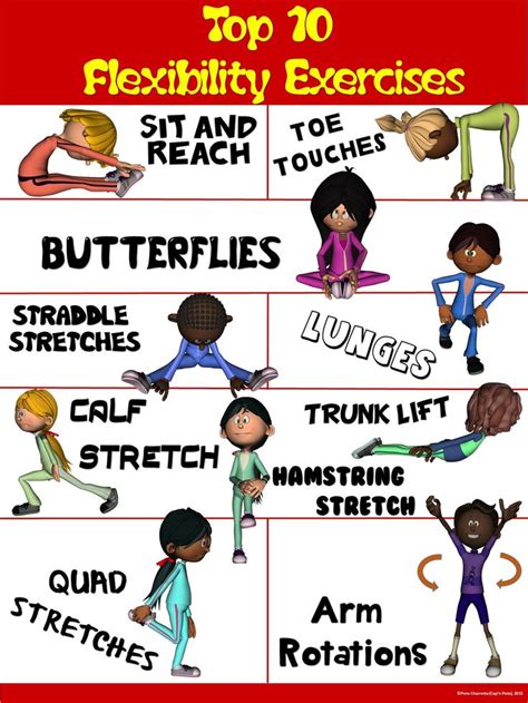 pe poster top  flexibility exercises pe physical literacy pinterest physical education