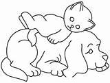 Gatto Hund Katze Malvorlagen Gatos Perros Sagoma Acessar sketch template