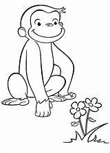 Curious George Coloring Pages Getdrawings Christmas sketch template