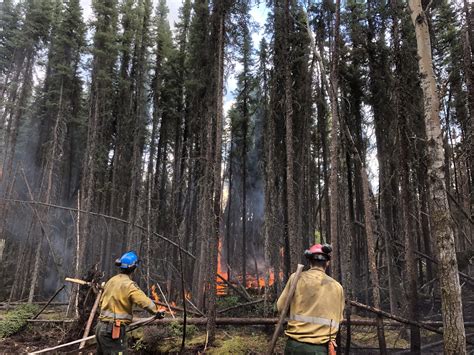 high level forest area wildfire update june