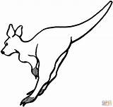 Kangaroo Coloring Pages Clipart Outline Color Leaping Kids Print Kangaroos Drawing Cliparts Baby Simple Animals Canguro Para Hopping Colorear Printable sketch template