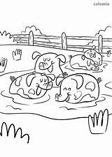 Mud Coloring Pig Farm Animals Pigs Having Fun Cow Pages sketch template