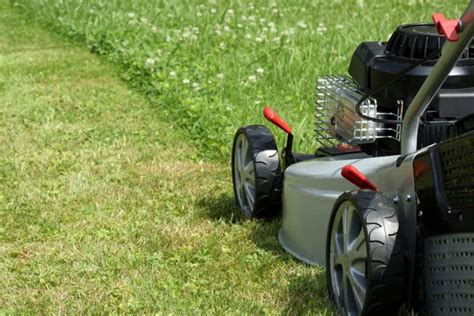 carb compliant lawn mower obsessed lawn