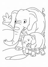 Colorare Elefanti Elefante Pianetabambini Disegno Singolarmente Versione sketch template
