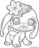 Lps Coloring Pages Printable Getcolorings Color sketch template
