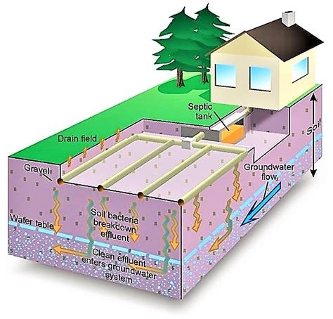 septic tank leach field layout