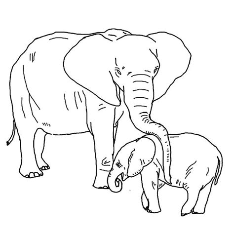 african elephant keeping  baby safe coloring pages coloring sky