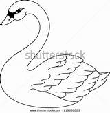 Swan Coloring Tundra Drawing 464px 77kb Paintingvalley sketch template